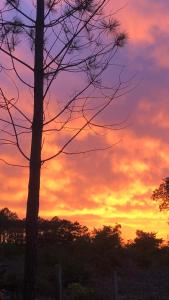 Les dunes de Contis Chez Edith océan pins et détente assurée dans camping 4 étoiles