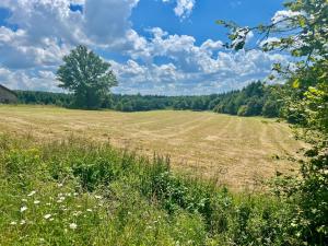 Maisons de vacances Sur Chateau La Mothe : photos des chambres