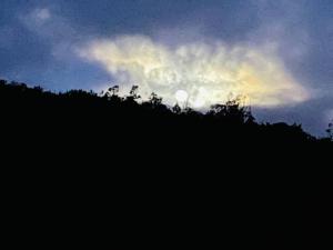 Ou Doc se Quirky little house in the Outeniqua mountains