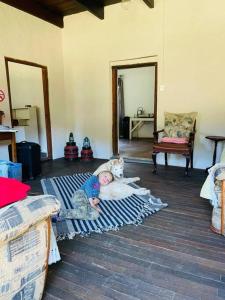 Ou Doc se Quirky little house in the Outeniqua mountains