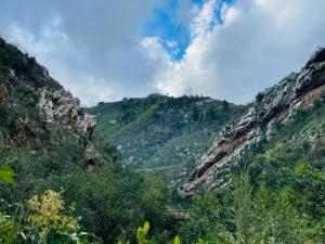 Ou Doc se Quirky little house in the Outeniqua mountains