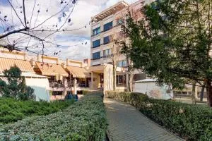 Best Western Central Hotel - Labaşinţ