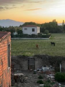 Maisons de vacances La Casita : photos des chambres