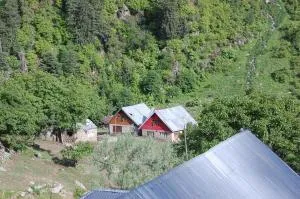 Rameez Paying guest house - Kanzalwan