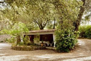 B&B / Chambres d'hotes B&B Le Niaouli : photos des chambres