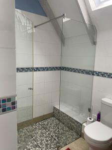 De Blauwvoet - Dolfyn (Sunset Beach)