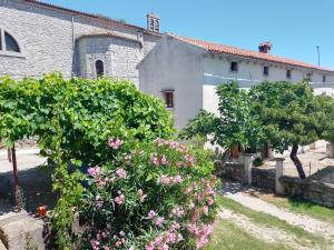 Apartments Lazzarini Battiala