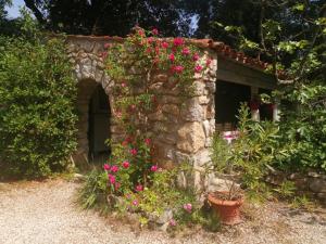 B&B / Chambres d'hotes B&B Le Niaouli : photos des chambres