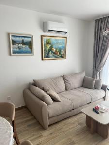 Apartment Veljko Becici