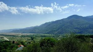 Mountaintop hostel apartments - Hostel Kvish^Khedi