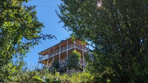 Mountaintop hostel apartments - Hostel Kvish^Khedi