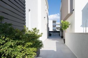 Villas THALLO