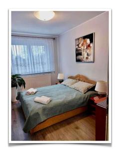 Apartament u Gieni
