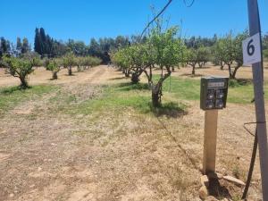 Tenuta Naturale img6