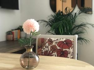 Maisons d'hotes La Magnifique, Et Pop Et Chic ! : photos des chambres