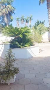 Villa Alessandra Lecce mare