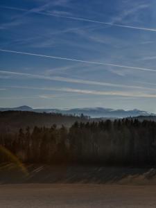 Rajskie Jabłka - azyl dla dorosłych