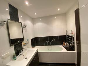 Apartamentai prie Kalnų parko