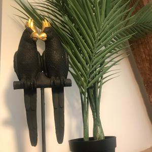 La Curiosité, Et Pop Et Chic !