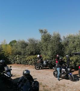 Ortona Holidays Guest House