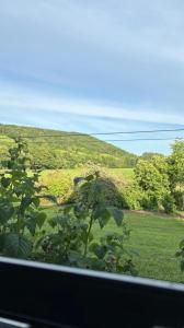 Logement route de vins