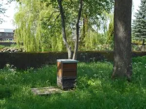 Ferienhof Bisdorf "Sundbrücke" - Ostermarkelsdorf