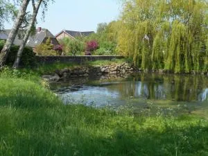 Ferienhof Bisdorf "Steilküste" - Ostermarkelsdorf