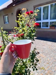 Садиба у Насті