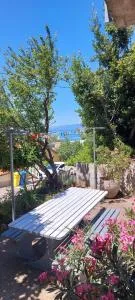 Apartman sunny green - Biljevine