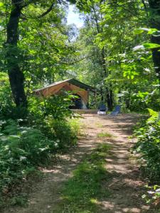 Tentes de luxe Tente des bois : photos des chambres