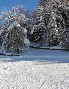 Chalets L-ARGOUSIER Chalet 6 a 8 personnes Enchastrayes Barcelonnette : photos des chambres