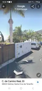 Las palmeras B - Güimar