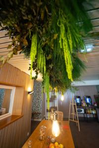 Hotels Hob Fort du Pre : photos des chambres
