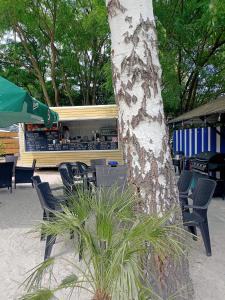 Wellness Hotel Orlík