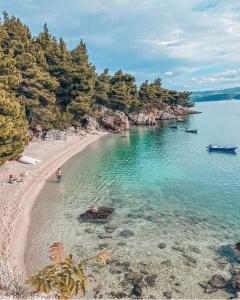 Apartman M 