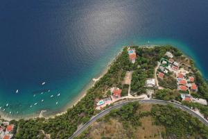 Apartman M 