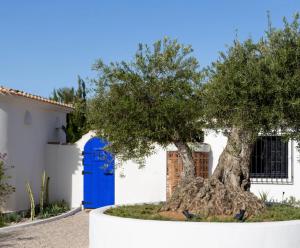 Design Villa with Private Pool