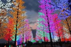 Icity Homestay Isuite - Kampong Padang Jawa