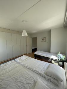 One-bedroom 66m2 apartment with sauna and parking