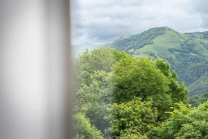 Hotels Logis Hotel Etchemaite : photos des chambres