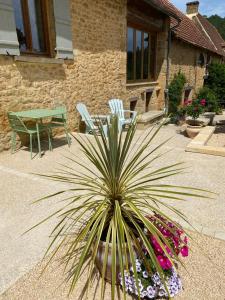 B&B / Chambres d'hotes La Dovecote Sarlat : photos des chambres