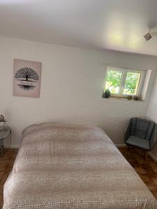 B&B / Chambres d'hotes Chambre en bordure d'Aveyron : photos des chambres