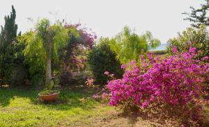 Elorina Casa Vacanze Birri sul mare Vendicari Noto