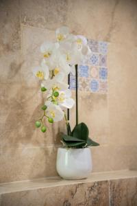 Appartements La ferme Saint-Antoine : Appartement