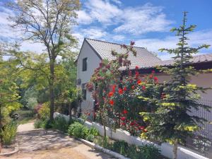 Casa de Vacanta Simfonia Apelor