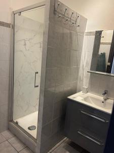 Appartements Spacieux cosy - 1 chambre Appartement - LYON Perrache Confluence 50 M2 : photos des chambres