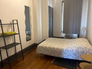 Appartements Spacieux cosy - 1 chambre Appartement - LYON Perrache Confluence 50 M2 : Appartement 1 Chambre