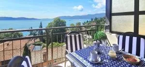 Selva Coccinella - Гіффа