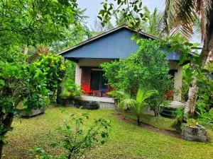 Les Citronniers - Antanandava