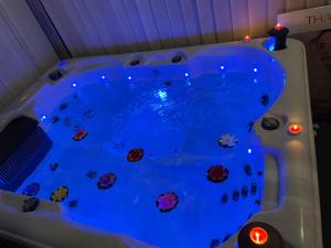 Maisons de vacances Houdarling Chalet et spa hammam jacuzzi et sauna : photos des chambres